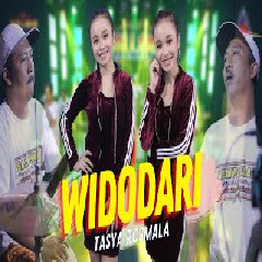 Tasya Rosmala - Widodari Feat New Pallapa