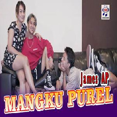 James AP - House Mangku Purel