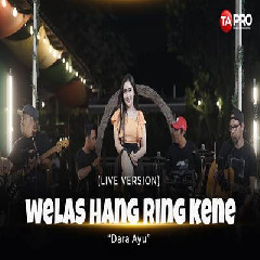 Dara Ayu - Welas Hang Ring Kene Ska Koplo