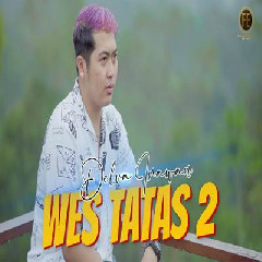 Delva Irawan - Wes Tatas 2