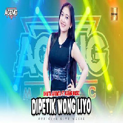 Shinta Arsinta - Dipetik Wong Liyo Ft Ageng Music